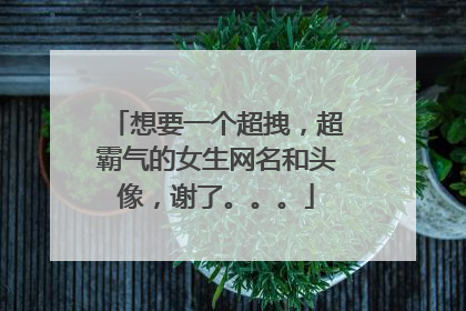 想要一个超拽，超霸气的女生网名和头像，谢了。。。