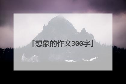 想象的作文300字