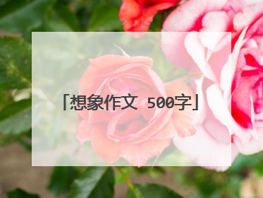 想象作文 500字