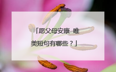 愿父母安康 唯美短句有哪些？