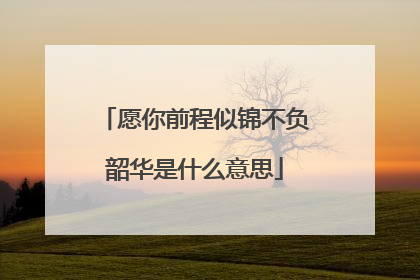 愿你前程似锦不负韶华是什么意思