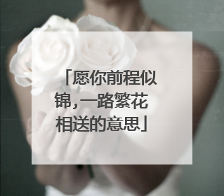 愿你前程似锦,一路繁花相送的意思