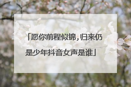 愿你前程似锦,归来仍是少年抖音女声是谁