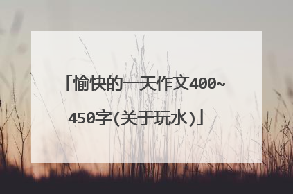 愉快的一天作文400~450字(关于玩水)
