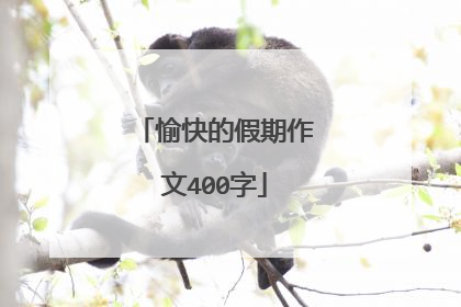 愉快的假期作文400字
