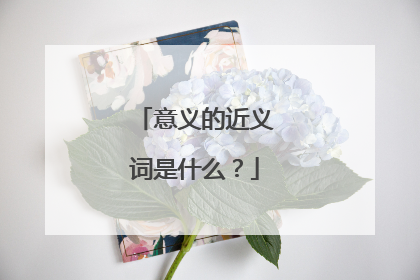 意义的近义词是什么?