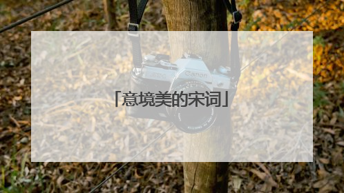 意境美的宋词