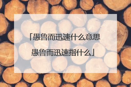 愚鲁而迅速什么意思 愚鲁而迅速指什么