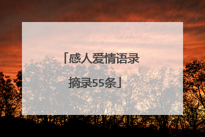 感人爱情语录摘录55条