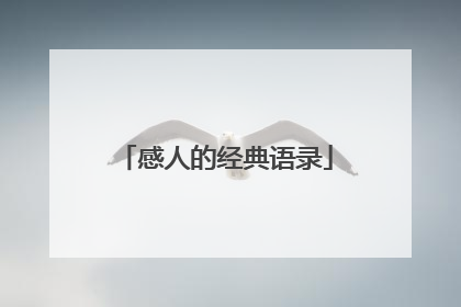 感人的经典语录