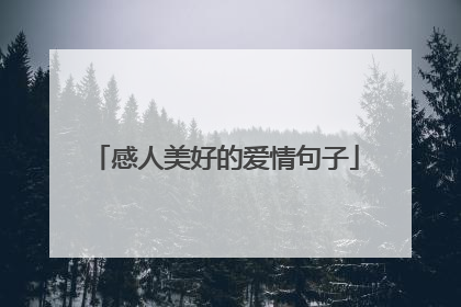 感人美好的爱情句子
