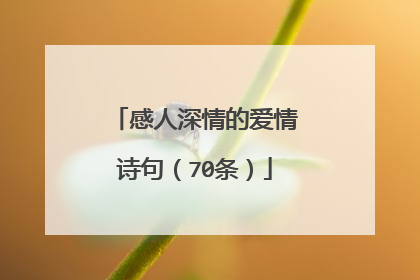 感人深情的爱情诗句（70条）