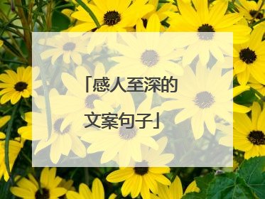 感人至深的文案句子