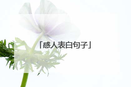 感人表白句子