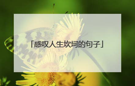 感叹人生坎坷的句子