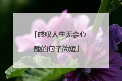 感叹人生无奈心酸的句子简短
