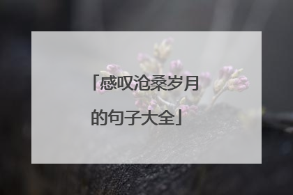感叹沧桑岁月的句子大全
