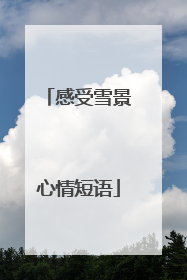 感受雪景心情短语