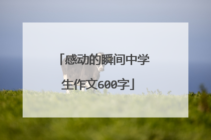 感动的瞬间中学生作文600字