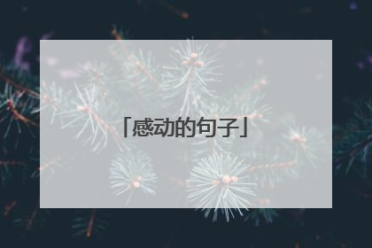 感动的句子