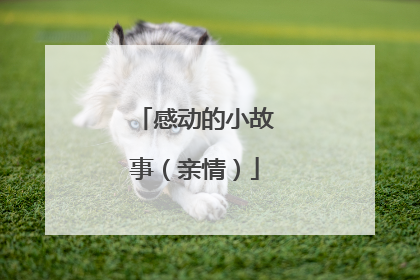 感动的小故事(亲情)