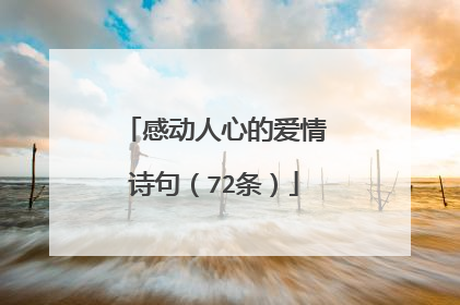 感动人心的爱情诗句（72条）