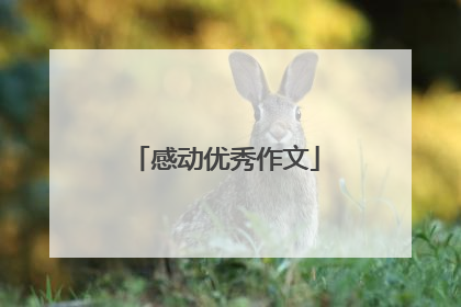 感动优秀作文