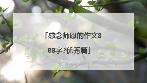感念师恩的作文800字?优秀篇