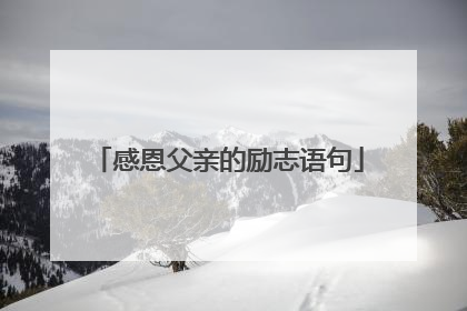 感恩父亲的励志语句