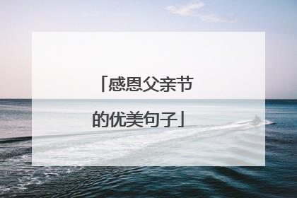 感恩父亲节的优美句子