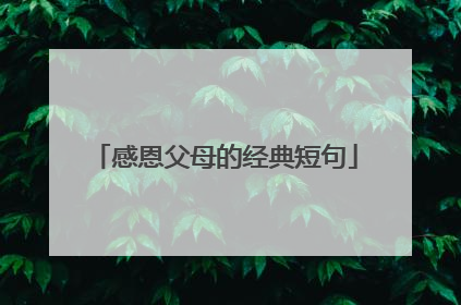 感恩父母的经典短句