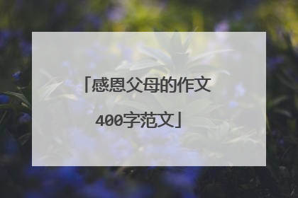 感恩父母的作文400字范文