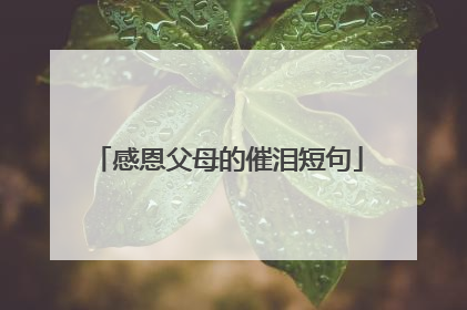 感恩父母的催泪短句
