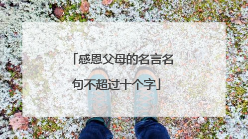 感恩父母的名言名句不超过十个字