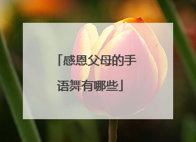 感恩父母的手语舞有哪些
