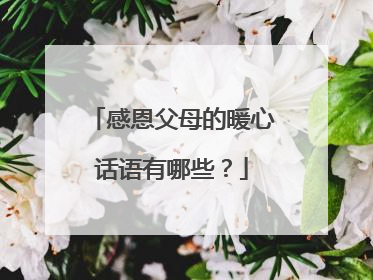 感恩父母的暖心话语有哪些？