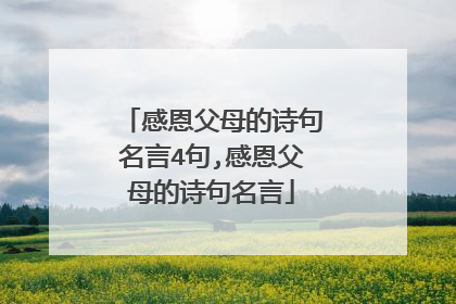 感恩父母的诗句名言4句,感恩父母的诗句名言