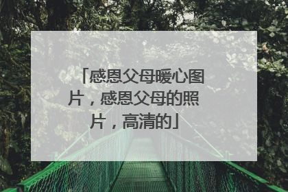 感恩父母暖心图片，感恩父母的照片，高清的