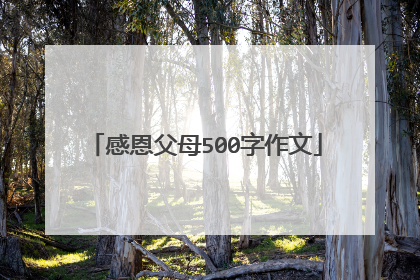 感恩父母500字作文