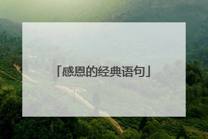 感恩的经典语句