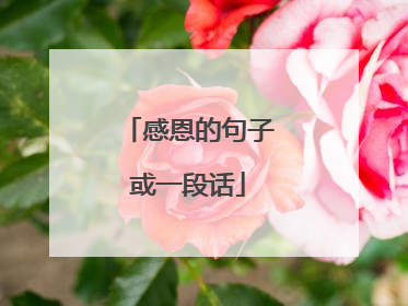 感恩的句子或一段话