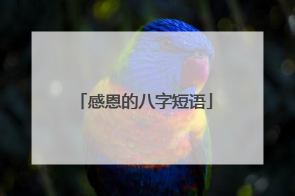 感恩的八字短语