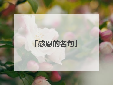 感恩的名句