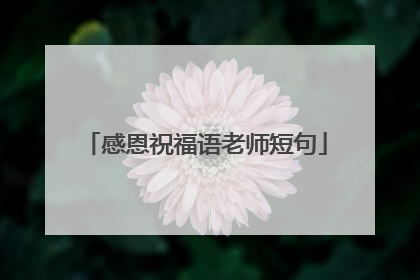 感恩祝福语老师短句