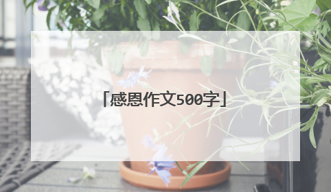 感恩作文500字