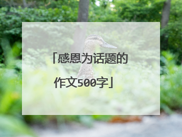 感恩为话题的作文500字