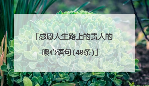 感恩人生路上的贵人的暖心语句(40条)