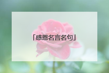 感恩名言名句