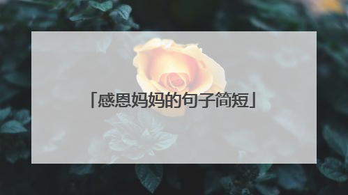 感恩妈妈的句子简短