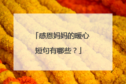 感恩妈妈的暖心短句有哪些?